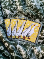Little cards