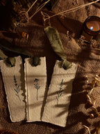 The Harvest Box